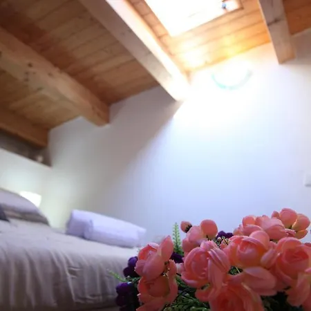 Aparthotel Ballaro *